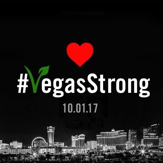 Vegas hero, vegashero casino